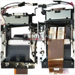 OEM R37901900 - CL4NX Plus 305 dpi 